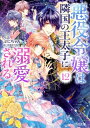 悪役令嬢は隣国の王太子に溺愛される 12 ビーズログ文庫 / ぷにちゃん 【文庫】