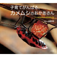 子育てがんばる、カメムシのおかあさん ベニツチカメムシとボロボロノキ 小学館の図鑑NEOの科学絵本 / 新開孝 【絵本】