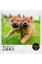 生まれたよ!山陰柴犬 / 豊哲也 【絵本】 1,650円