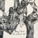 Becca Stevens & The Secret Trio / Becca Stevens & The Secret Trio 【CD】