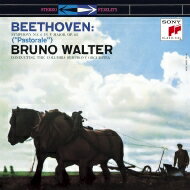 Beethoven ١ȡ / 6֡ı١إ쥪Ρٽ2֥֡롼Ρ륿ӥ SACD