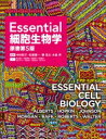 Essential細胞生物学 / 中村桂子 【本】