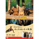 劇場版 岩合光昭の世界ネコ歩き あるがままに、水と大地のネコ家族 DVD 【DVD】