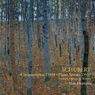 Schubert シューベルト / ピアノ ソナタ第4番 即興曲集 舞曲集 イリーナ メジューエワ 【CD】