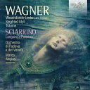 【輸入盤】 Wagner ワーグナー / ヴェーゼンドンク歌曲集（ヘンツェ編曲管弦楽伴奏、イタリア語）、ジークフリート牧歌、他　サラ・ミンガルド、マルコ・アンジウス＆パドヴァ・ヴェネート管弦楽団 【CD】