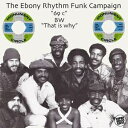 Ebony Rhythm Funk Campaign / 69 Cents / That Is Why (7インチシングルレコード) 【7