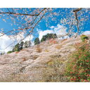 日本の美しい里と花の絶景 / 富田文雄 (風景写真家) 【本】
