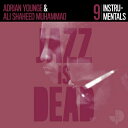 Adrian Younge / Ali Shaheed Muhammad / Instrumentals (2枚組アナログレコード / jazz is dead) 【LP】
