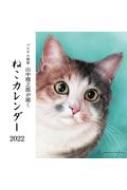 パステル画家山中翔之郎が描くねこカレンダー 2022 【本】