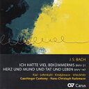 【輸入盤】 Bach, Johann Sebastian バッハ / カンタータ第21番、第147番 ハンス=クリストフ・ラーデマン&ゲヒンガー・カントライ、ヌリア・リアル、他 【CD】