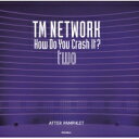TM NETWORK How Do You Crash It? two AFTER PAMPHLET / TM NETWORK ティーエムネットワーク 
