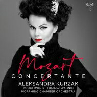 yAՁz Mozart [c@g / R`F^e`IyEAAWAtȁ@ANThENUNA[tBOǌycA[LEEHAg}VE@vjc yCDz