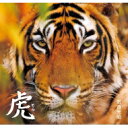 出荷目安の詳細はこちら内容詳細世界的に著名な動物写真家 岩合光昭絶滅危惧種のベンガルトラ集大成トラを守り森を守ることは地球を守ること走り去る野生のベンガルトラ。21歳のときの一瞬の出会いで感じた、全身を貫く強いエネルギーを求め、幾度も足を踏み入れたインドの森。その生態系の頂点に立つトラの輝きは人を魅了してやまない。しかし、その輝きは今、激減しています。1980年代から、新型コロナウイルスのパンデミックが迫る2020年2月まで。寅年生まれの岩合光昭が、神秘の森で追い続けた絶滅危惧種ベンガルトラの生態に迫る写真集がついに完成。インドの森に生きる動物たちと、森の王者であるトラをめぐる物語。未来へといのちをつなぐフォトストーリーです。