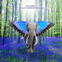 【輸入盤】 Tom Morello トムモレロ / Atlas Underground Flood 【CD】