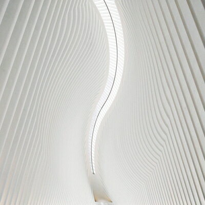 polly / Pray Pray Pray ��CD��