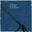 【輸入盤】 Kit Downes / Vermillion 【CD】