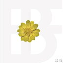 BF (BOYFRIEND) / Mini Album: Snow Flower 【CD】