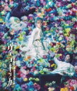 ミュージカル『ヴェラキッカ』Blu-ray 通常版 【BLU-RAY DISC】
