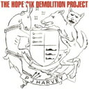 PJ Harvey s[WFCn[xC / Hope Six Demolition Project (AiOR[h) yLPz