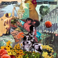 Mamas Gun / Cure The Jones 【CD】