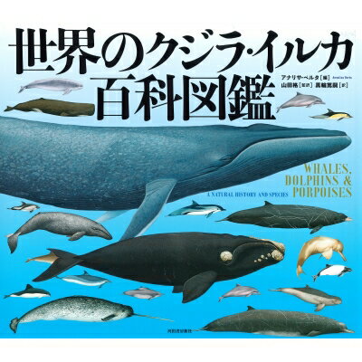 世界のクジラ・イルカ百科図鑑 / アナリサ・ベルタ 【図鑑】