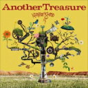 カミナリグモ / AnotherTreasure 【CD】