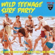 Wild Teenage Surf Party 28 Surfnsnow Party Rocknroll And: Instro 1959-66 CD
