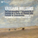 Vaughan-williams ボーンウィリアムズ / 交響曲第6番、揚げひばり アンドリュー・デイヴィス、タスミン・リトル、BBC交響楽団 (2枚組 / 180グラム重量盤レコード / Warner Classics) 【LP】