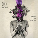 Goo Goo Dolls O[O[h[Y / Chaos In Bloom (AiOR[h) yLPz