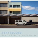 Damon And Naomi / Sky Record (アナログレコード) 【LP】