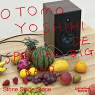 大友良英スペシャルビッグバンド / Stone Stone Stone 【CD】