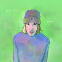 David Sylvian デビッドシルビアン / Blemish (180グラム重量盤レコード) 【LP】