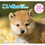 HMV&BOOKS online 1号店