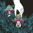 【輸入盤】 Grateful Dead グレートフルデッド / In And Out Of The Garden: Madison Square Garden ...
