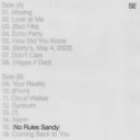 【輸入盤】 Sylvan Esso / No Rules Sandy 【CD】