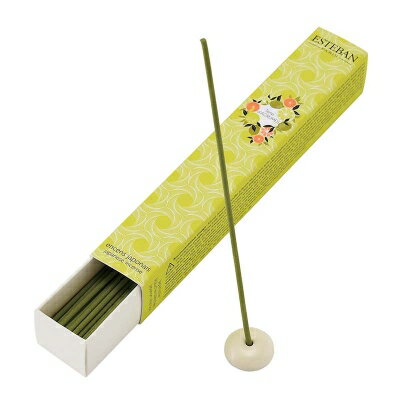 ESTEBAN(エステバン) スティック 40本入 / テールダグリューム ESTEBAN(エステバン) スティック 40本入 / テールダグリューム