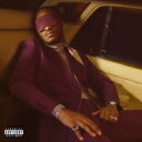 Future / I Never Liked You (2枚組アナログレコード) 【LP】