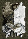 Eve / ZINGAI 【ZINGAI盤】 (初回限定・額縁ケース特製BOX仕様 2Blu-ray) 【BLU-RAY DISC】