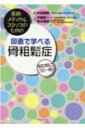 医師・メディカルスタッフのための図表で学べる骨粗鬆症 / 太田博明 【本】