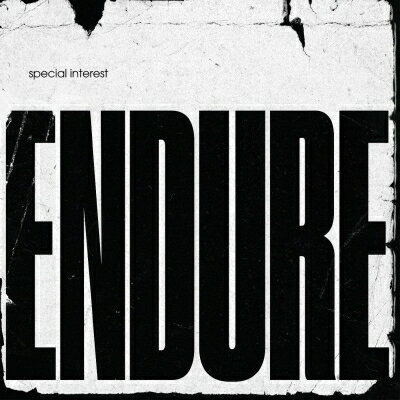 Special Interest / Endure (イエロー・ヴァイナル仕様 / アナログレコード) 【LP】