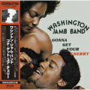 Washington Jamb Band / Gonna Get Your Cherry (帯付 / 国内盤 / アナログレコード) 【LP】