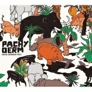 【輸入盤】 David Gordon デビッドゴードン / Pachyderm 【CD】