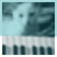 Peter Broderick / Piano Works Vol. 1 (Floating In Tucker 039 s Basement)(アナログレコード) 【LP】
