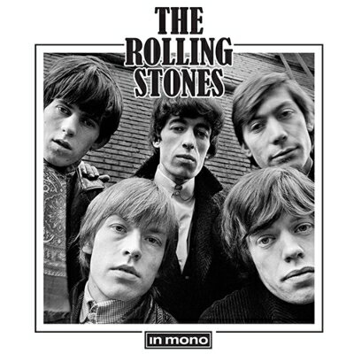 Rolling Stones ローリングストーンズ / Rolling Stones In MONO (カラーヴァイナル仕様 / 16枚組アナログレコードBOXセット) 【LP】