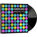 Marvin Gaye マービンゲイ / Greatest Hits Live In 039 76 (アナログレコード) 【LP】