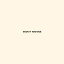 Arctic Monkeys アークティックモンキーズ / Suck It And See <紙ジャケット仕様 / 高音質UHQCD> 【Hi Quality CD】