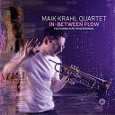 Maik Krahl / In-between Flowi180OdʔՃR[hj yLPz