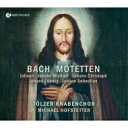 【輸入盤】 バッハ一族のモテット集 ミヒャエル・ホフシュテッター&テルツ少年合唱団、器楽伴奏 【CD】