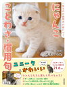 にゃんこことわざ・慣用句 一生ものの表現力が身につく / つむチャンネル。 【本】