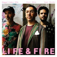 Omer Klein / Life &amp; Fire (アナログレコード) 【LP】